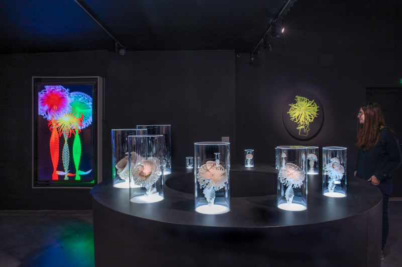 Fait machine. :  Miguel Chevalier [1959 (FR)] Bella Donna live Linnius 1 > 12 (série des Fractal Flowers), 2021 12 sculptures réalisées par impression 3D, présentées dans un meuble circulaire en medium avec éclairage LEDs et cloches en plexiglas Diamètre du socle : 2 m  